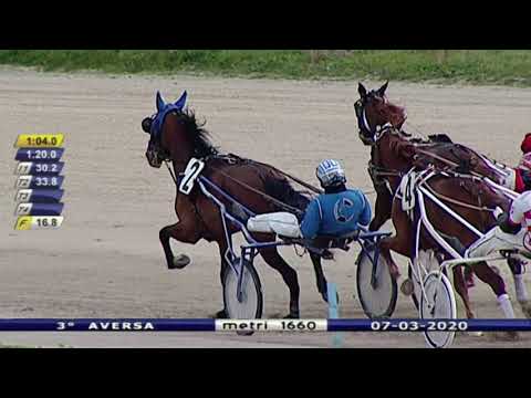 Aversa trotto 7 Marzo 2020 - 3° Corsa
