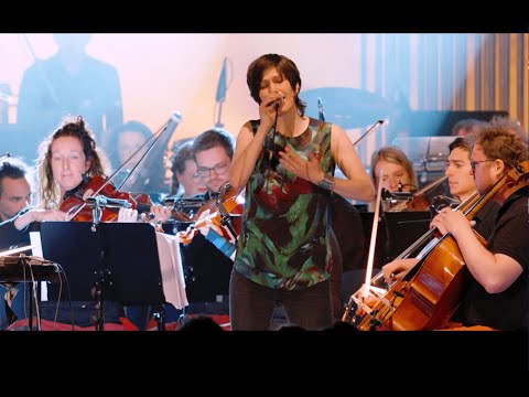 2. Einer will immer mehr - Alin Coen & STÜBAphilharmonie