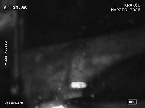 kukon & ka-meal - meskalina