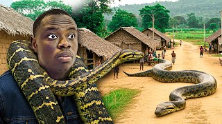 The Snake Village In Ghana. A Community That Lives With Snakes For Over 50years