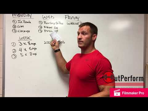 Muscle Building Programming