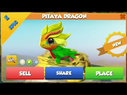 PITAYA DRAGON Hatching! SPRING FIESTA Tier 10 Continued! - DML #837
