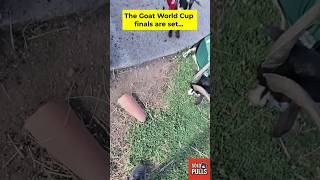🐐 The Goat World Cup Finals Are Set