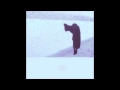 Chelsea Wolfe - Noorus 
