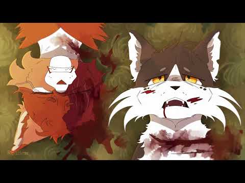 For the Last Time // Swiftpaw and Brightpaw AMV