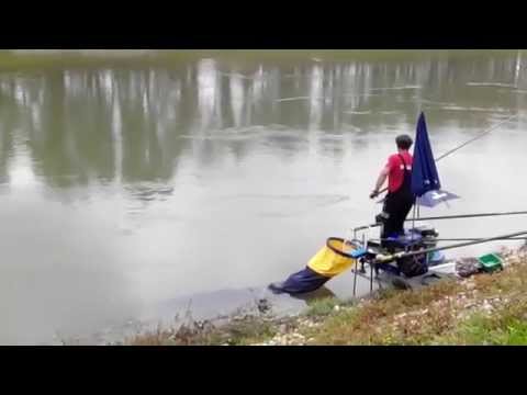 Goran Radović Gica otkvačivanje