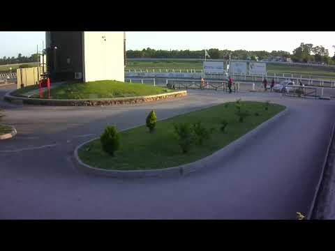 CARRERAS HIPODROMO LAS PIEDRAS 23/1/26 | EN VIVO | URUGUAY