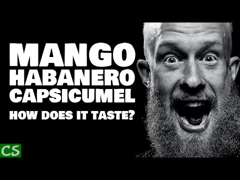 Mango Habanero Capsicumel Mead Tasting - Hot?  Or Not?