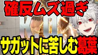 【まとめ】アルマスまでの道のりが長い…サガットで苦しむ葛葉【にじさんじ/切り抜き/まとめ】 #にじさんじ #まとめ #スト6  #葛葉
