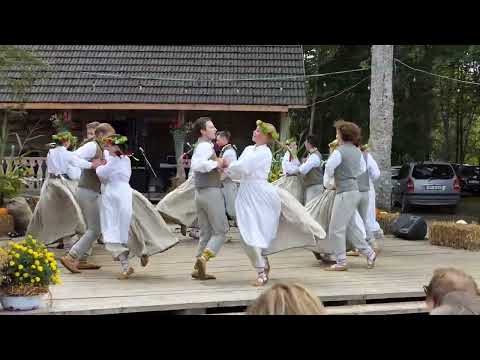 JDK "Rakari" - Cūkas driķos