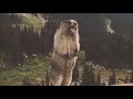 Screaming Groundhog Meme