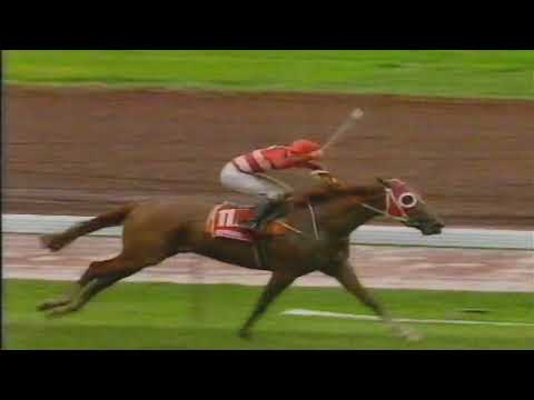 1992 VRC FLEMINGTON Derby Day _ NASSIPOUR