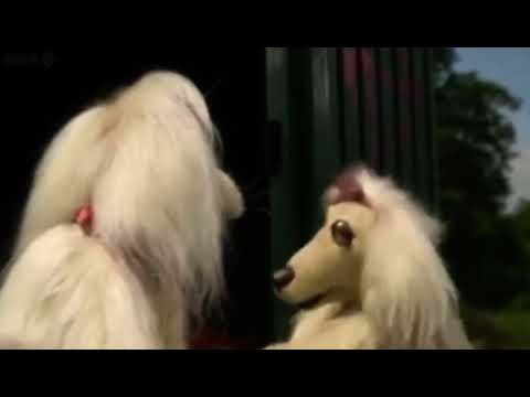 Mongrels | Destiny’s Lookalike