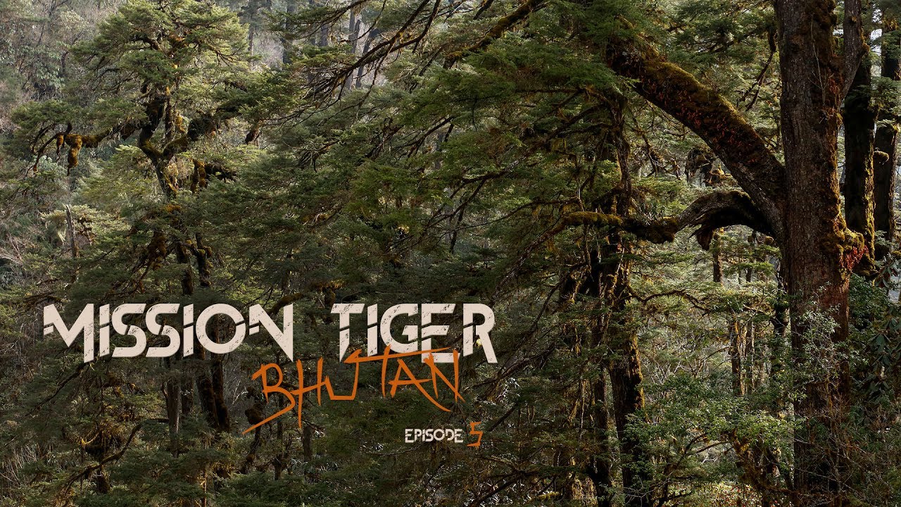 Épisode 5 : Visite surprise #MissionTigerBhutan