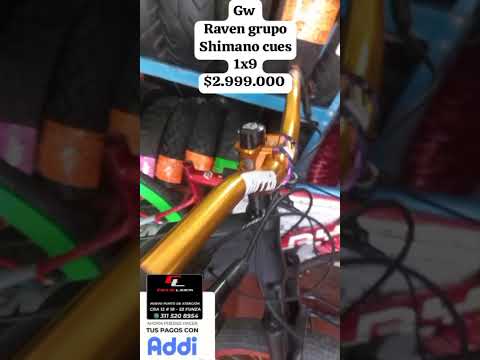 Gw Raven disponibles Funza cundinamarca Cel 311 5208954
