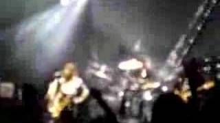 &quot;ALWAYS RIGHT BEHIND YOU&quot; THE ZUTONS *LIVE* THETFORD FOREST