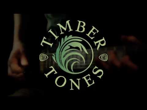 Timber Tones African Ebony on Electric Guitar