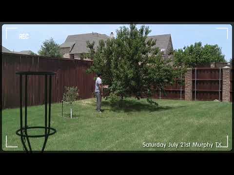Danyal picking peaches