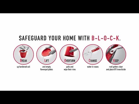 B-L-O-C-K Dengue and Zika