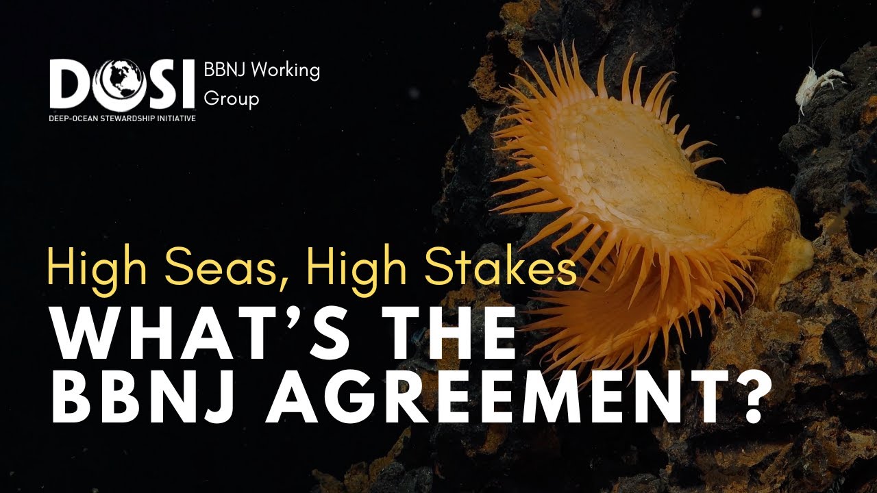High Seas, High Stakes: What’s the BBNJ Agreement?