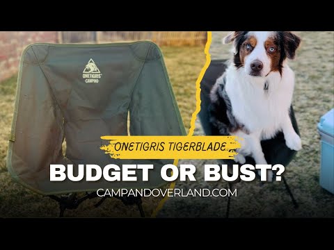 Is This $40 Camping Chair Actually a Hidden Gem? | OneTigris Tigerblade Camping Chair Review