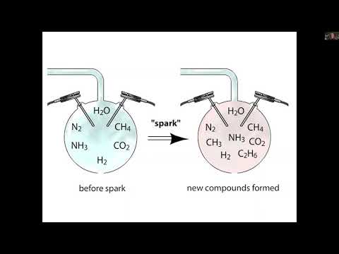 Synthesis of Prebiotic Molecules