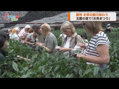 YouTube Video 静岡・藤枝市の「玉露の里」で恒例のお茶まつり開催 国の登録無形文化財に登録された手もみ製茶の実演も