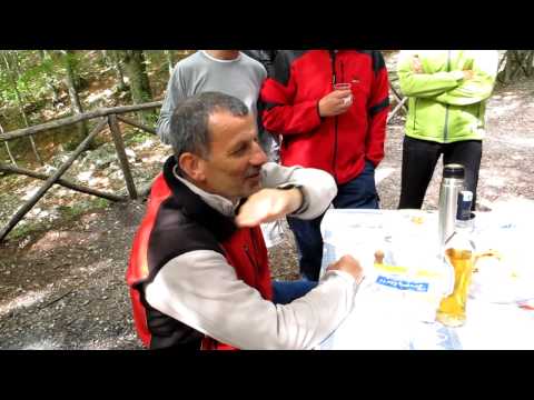 Come suona il chiodo del Pontifex