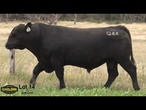 GRANITE RIDGE QUEBEC Q44