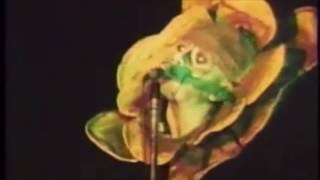 Genesis - Supper's Ready, Live At The University Sports Arena, Montreal, 20th April 1974
