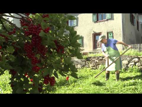 Castrisch - Vischnaunca Ilanz/Glion Romontsch