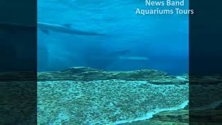 Aquarium Tours Travel and Discover 9 : The Sea Sand