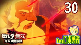 【30】始まりの台地で結集！ゼルダ無双 厄災の黙示録を実況学習【VTuber】