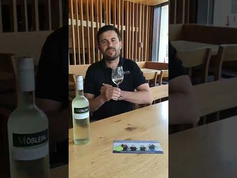 Weinvorstellung Sommertraum