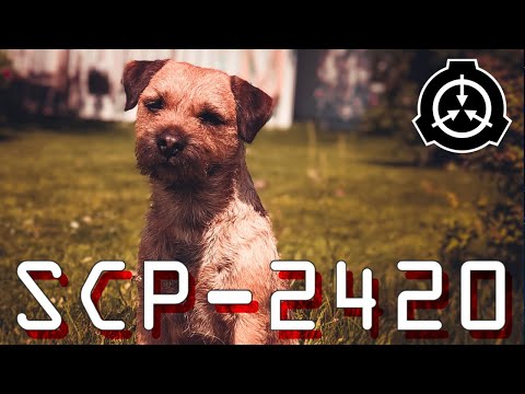 SCP-2420 | A Good Dog