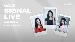 🤍LOVE&POP pt.2도 끝까지 Andless🤍 | tripleS 트리플에스 : SIGNAL LIVE 261016