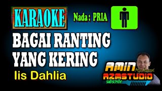 Download lagu BAGAI RANTING YANG KERING Iis Dahlia KARAOKE Nada PRIA mp3