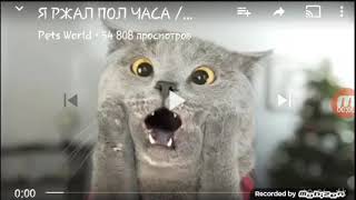 Самое смешное видео !!!!!