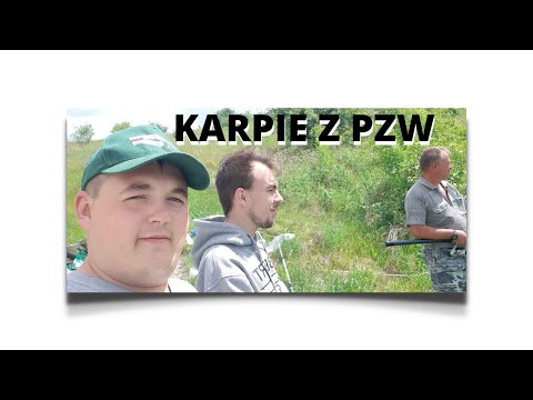 KARPIE NA PZW