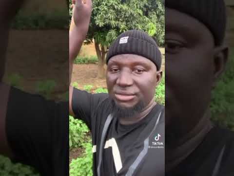 Diaguate patriote dawor diallou