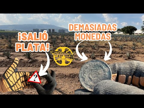 Muchos hallazgos entre tepalcate y agaves | Team shark #14 | agradezco la inv a@arqui-detector