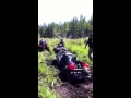 Stuck In The Muck
