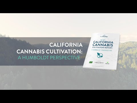 California Cannabis Cultivation: A Humboldt Perspective