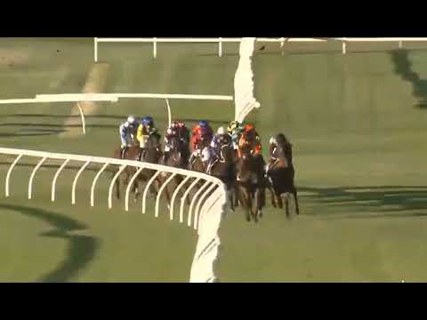 RACE 8 - IPSWICH - AUSTRALIA - 20 FEB 2026