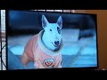 Opening To Oliver And Company 2009 DVD