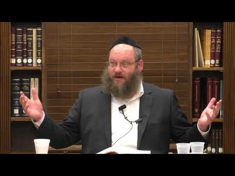 Tanya Review and Overview Chapters 18-25 - Rabbi Naftali Silberberg