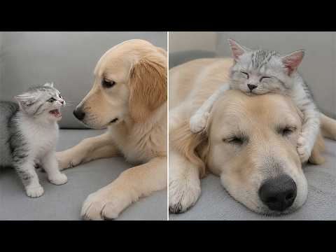 YouTube 썸네일