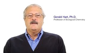 #TomorrowsDiscoveries: Why Eating Too Much Sugar Can Be Harmful – Dr. Gerald Hart