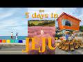 5 Days In Jeju 濟州 Local Must Eat Aesthetic Villa Cute Cafes Jeju Trip