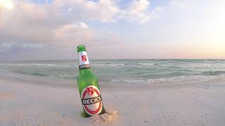 Pensacola Becks Beer